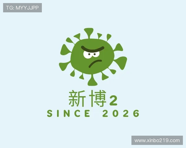 纵览新博2
